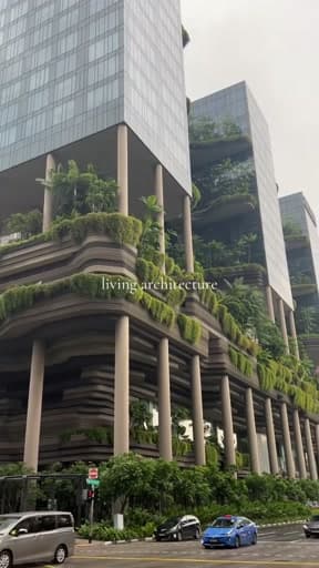 Architecture