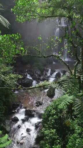 #nature