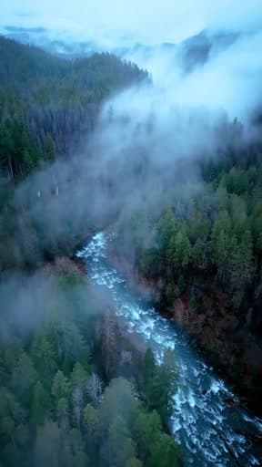 #nature