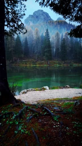 #nature