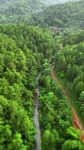 #nature